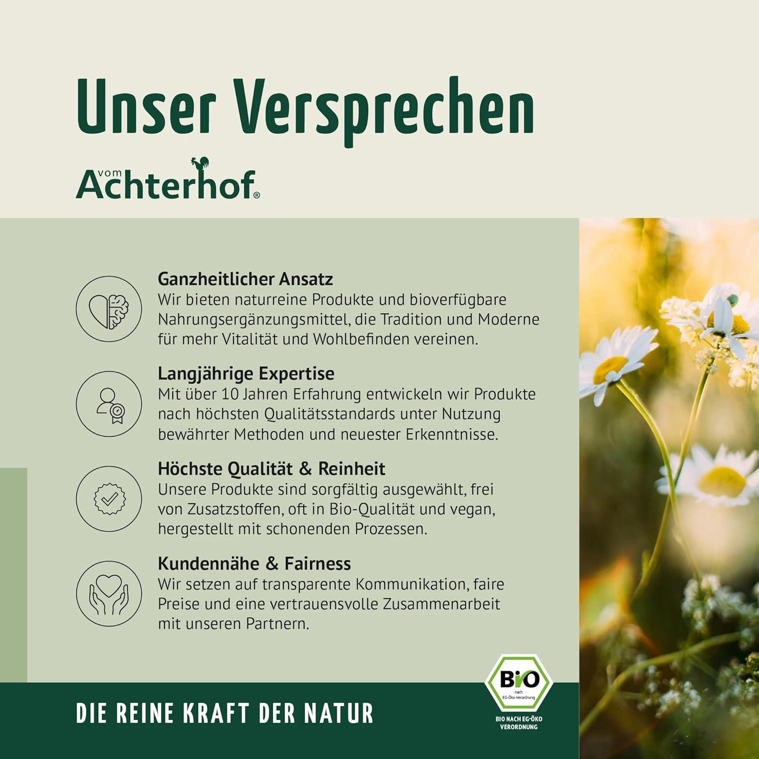 Gesundes Frühstück Mit Müsli, Obst Und Pulver-Topping