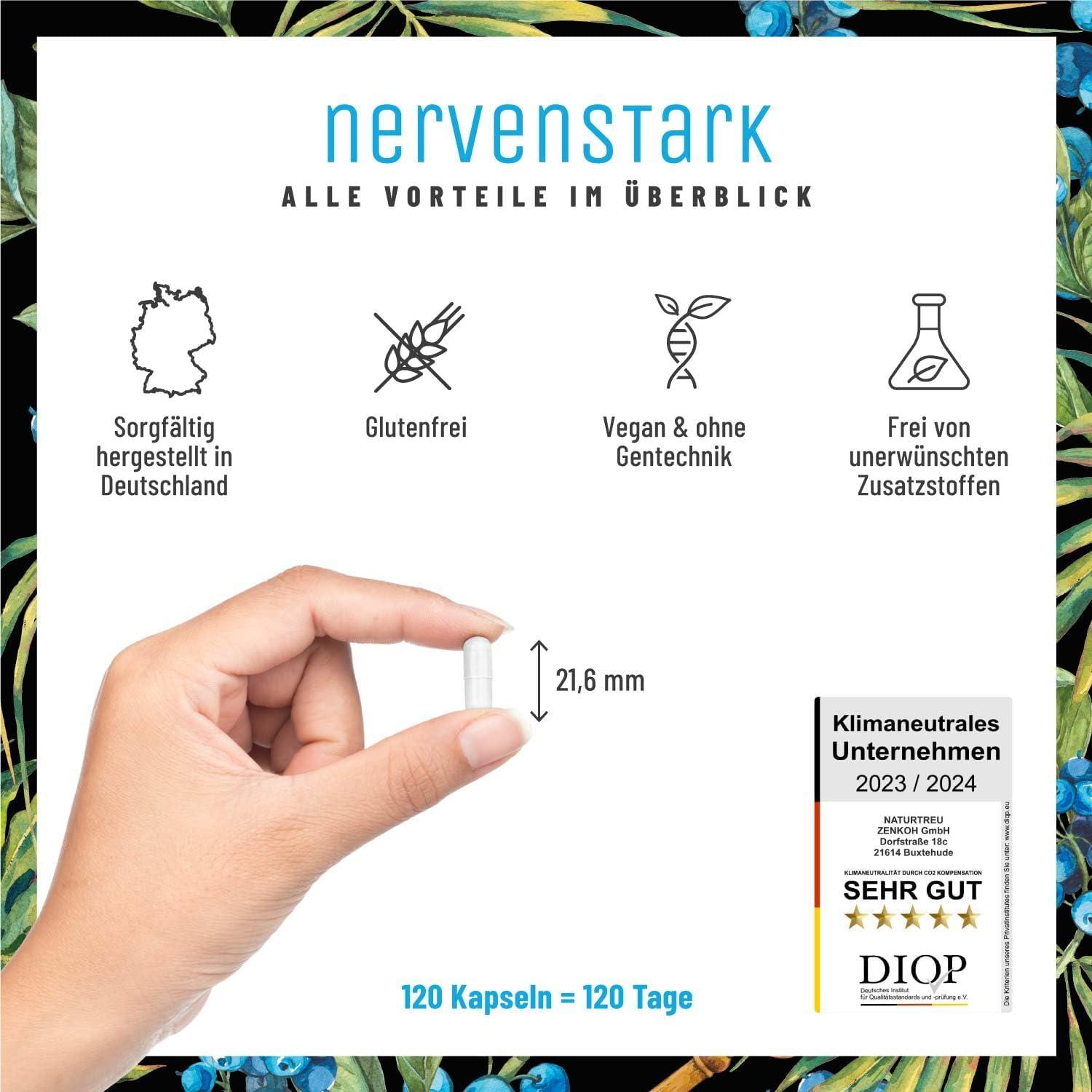 Unser ‌Test: Hochdosiertes Vitamin B Komplex Für Nervenstärke